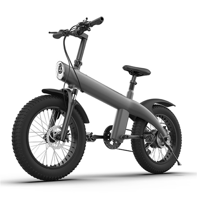 Electric Bike