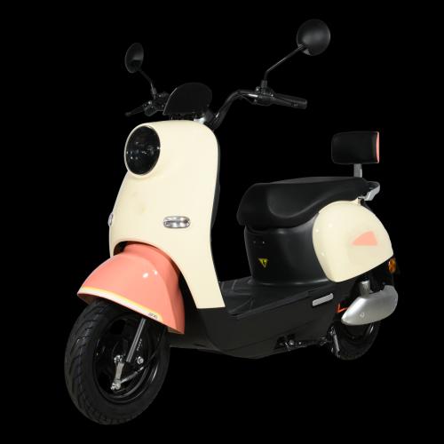 1000W 48 60V/20AH 10INCH wheel Roman Electric Scooter