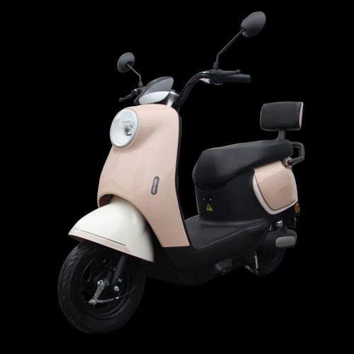1000W 48 60 72V/20AH 10INCH wheel Roman Electric Scooter